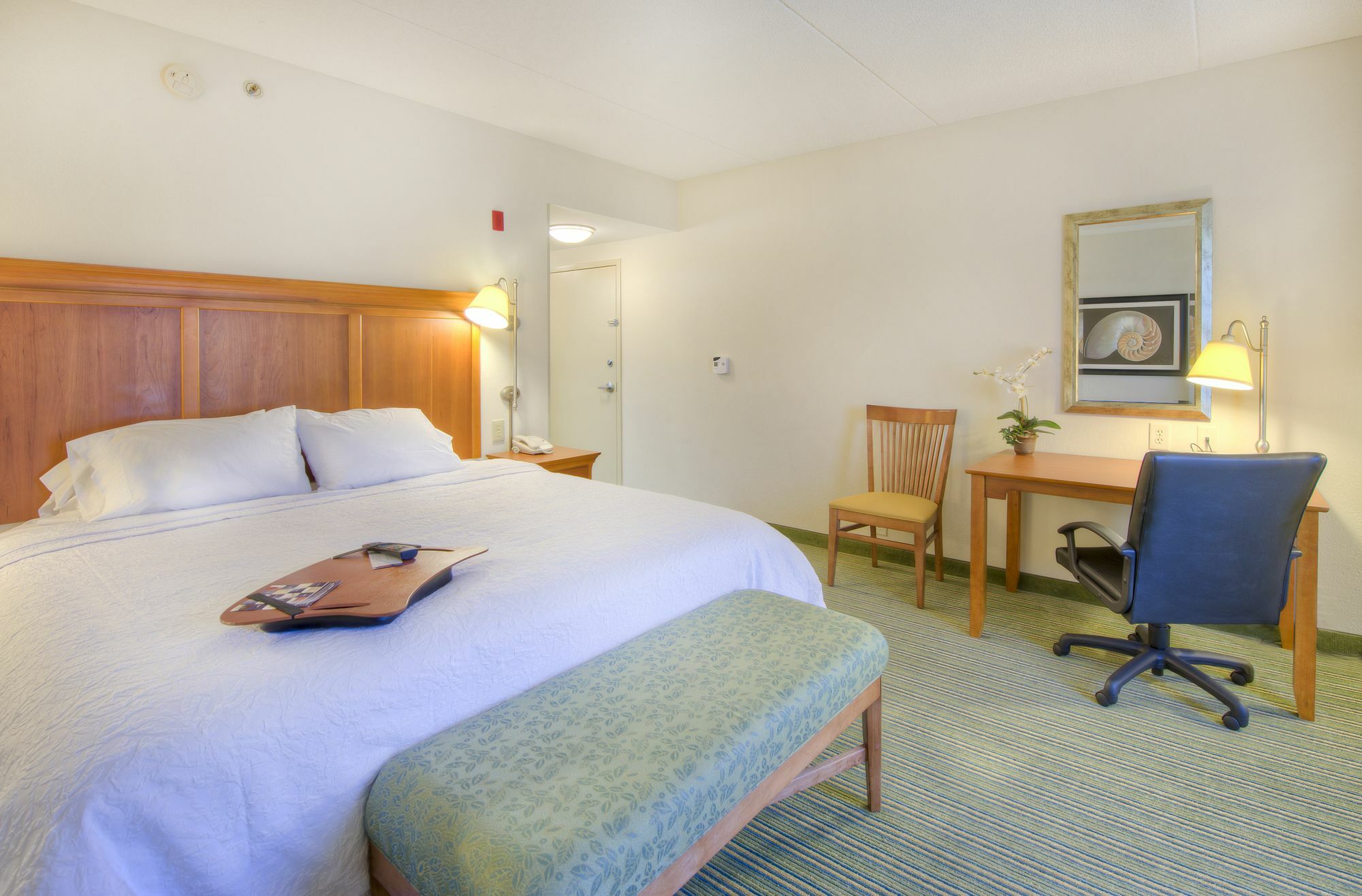 Hampton Inn Wilmington University Area Exteriér fotografie
